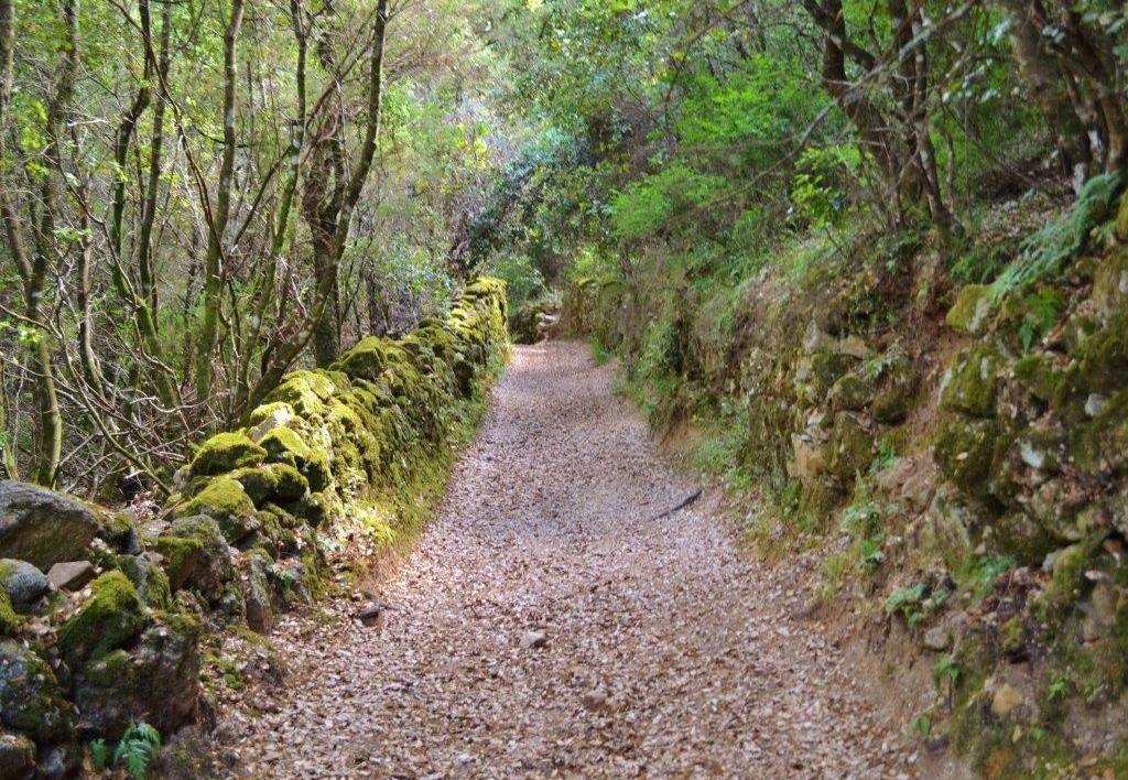 Campo - old path